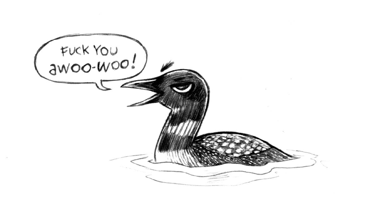 an angry loon saying fuck you a woo woo