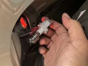 Tail Light Bulb