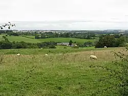 Red Hill Farm and fields sheep pasture at Bredenbury, Herefordshire, England